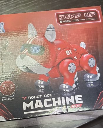 Robot Dog